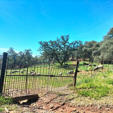 Casa Rural Alicia Cortegana Luaran gambar