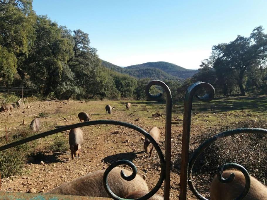Casa Rural Alicia Cortegana Luaran gambar