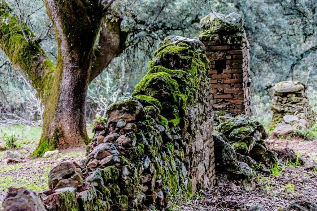 Casa Rural Alicia Cortegana Luaran gambar