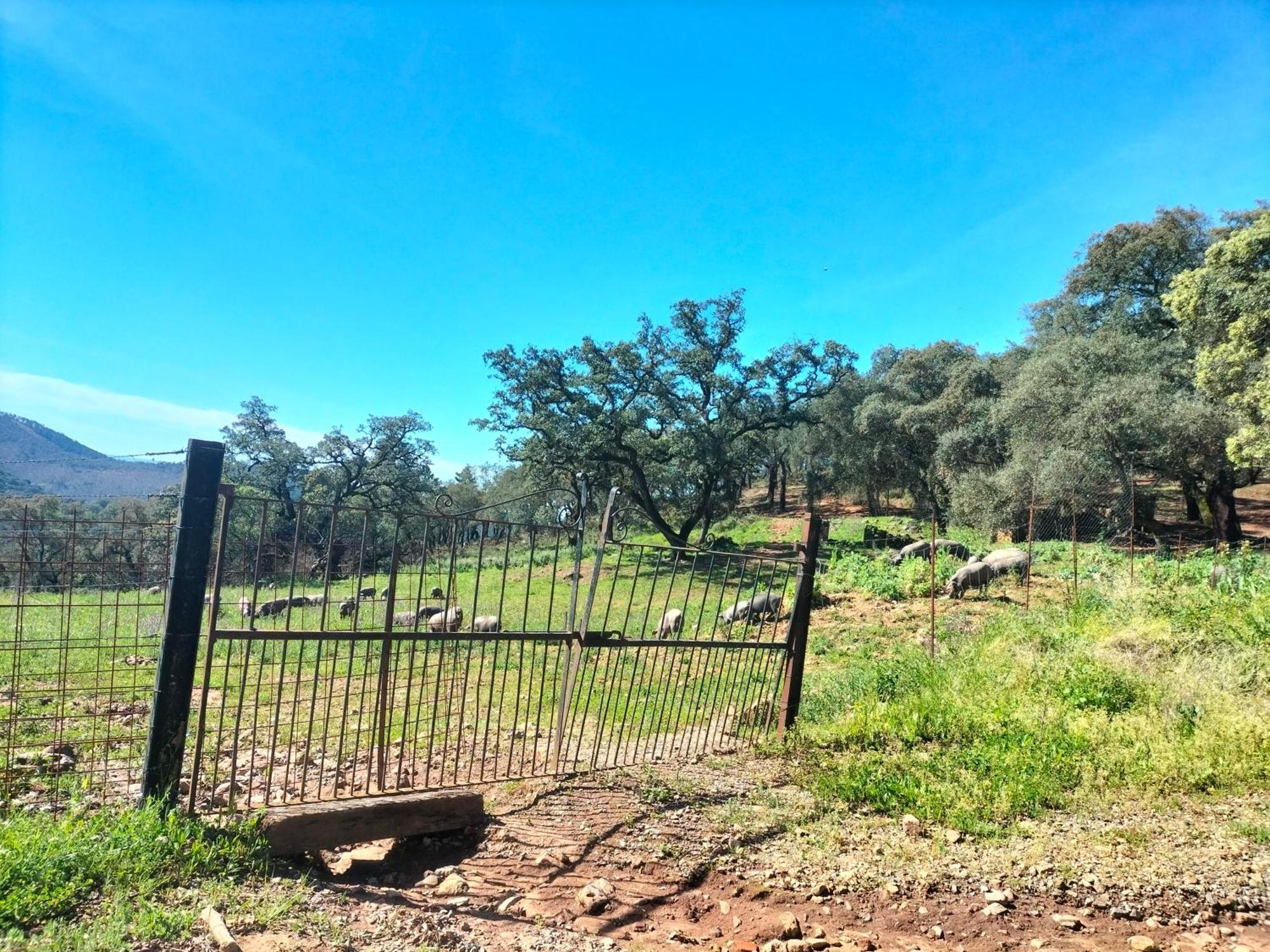 Casa Rural Alicia Cortegana Luaran gambar